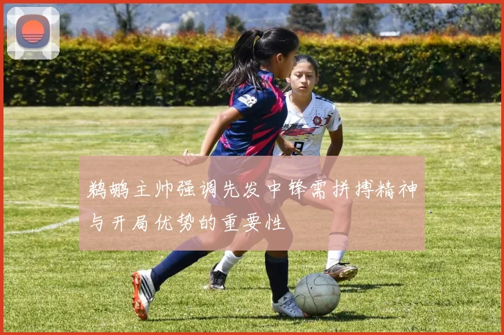 鹈鹕主帅强调先发中锋需拼搏精神与开局优势的重要性