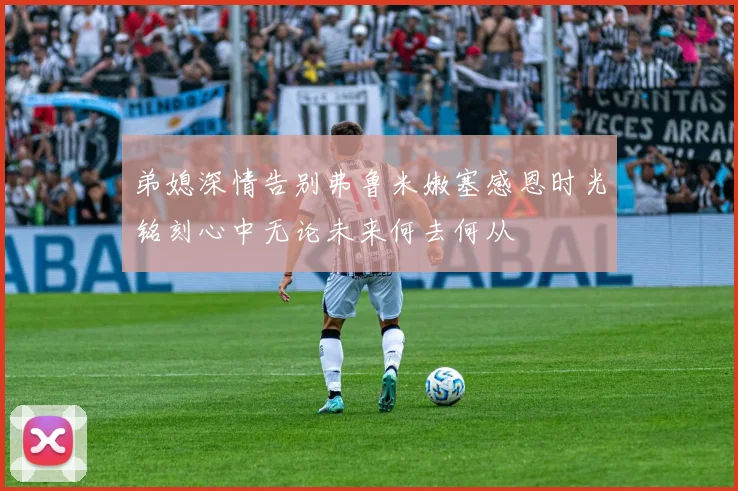弟媳深情告别弗鲁米嫩塞感恩时光铭刻心中无论未来何去何从