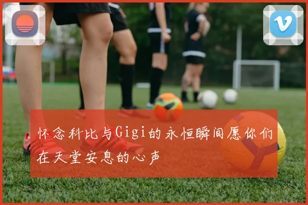 怀念科比与Gigi的永恒瞬间愿你们在天堂安息的心声